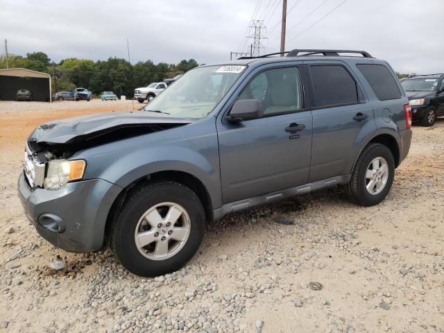 2010 FORD ESCAPE XLT, 