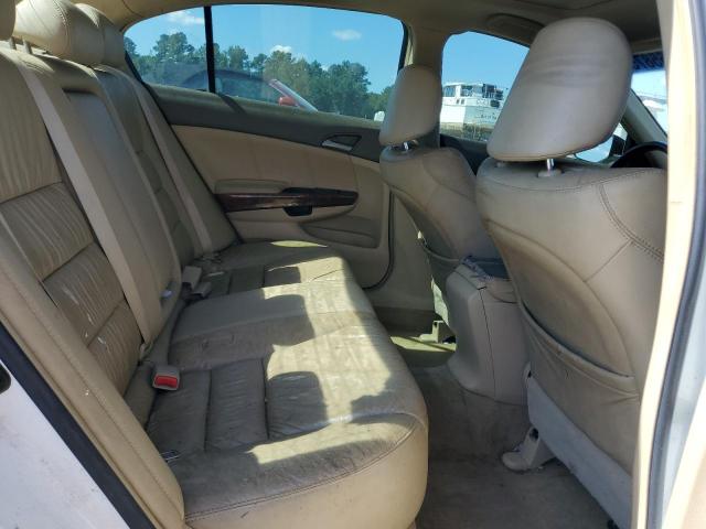 1HGCP25858A152866 - 2008 HONDA ACCORD EXL WHITE photo 10