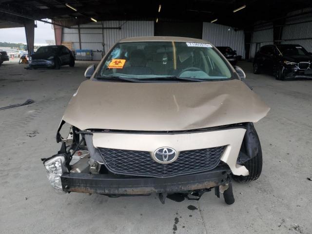 2T1BU4EE1AC402254 - 2010 TOYOTA COROLLA BASE ბეჟი ფოტო 5