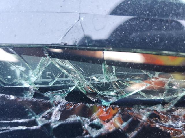 5YJ3E1EB5MF974885 - 2021 TESLA MODEL 3 蓝色 照片 12