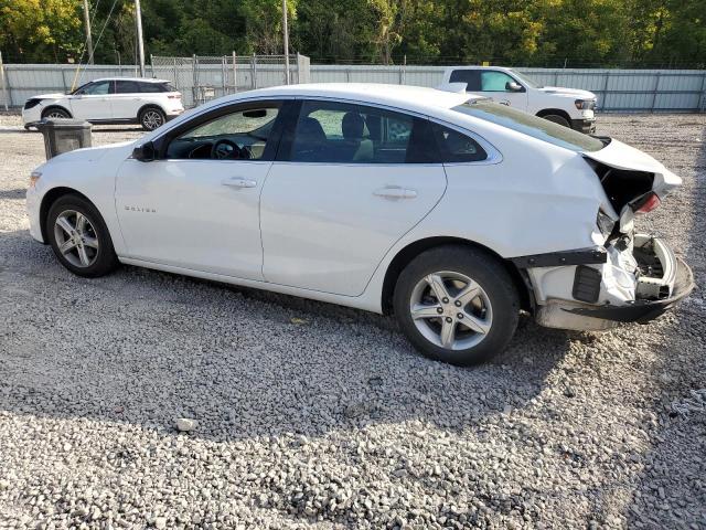 1G1ZD5STXRF128670 - 2024 CHEVROLET MALIBU LT WHITE photo 2