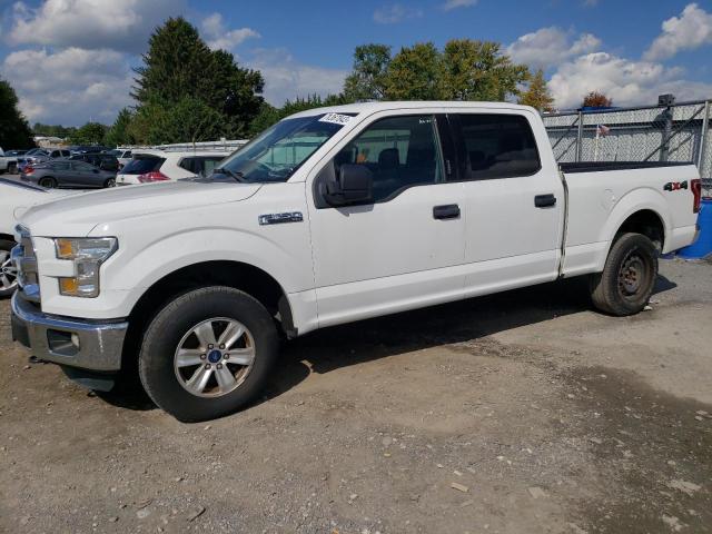 1FTFW1EG9GFC48758 - 2016 FORD F150 SUPERCREW WHITE photo 1