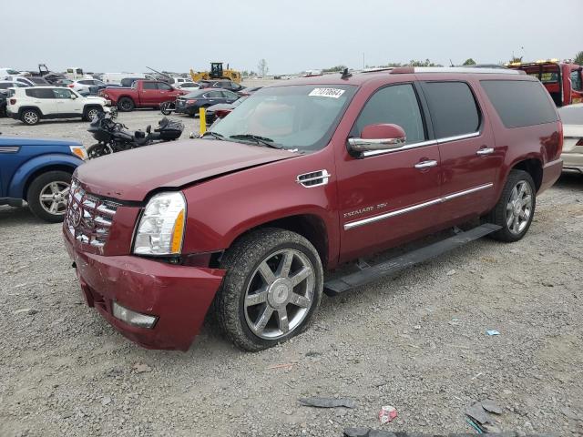 1GYUKJEF3AR211652 - 2010 CADILLAC ESCALADE ESV PREMIUM RED photo 1