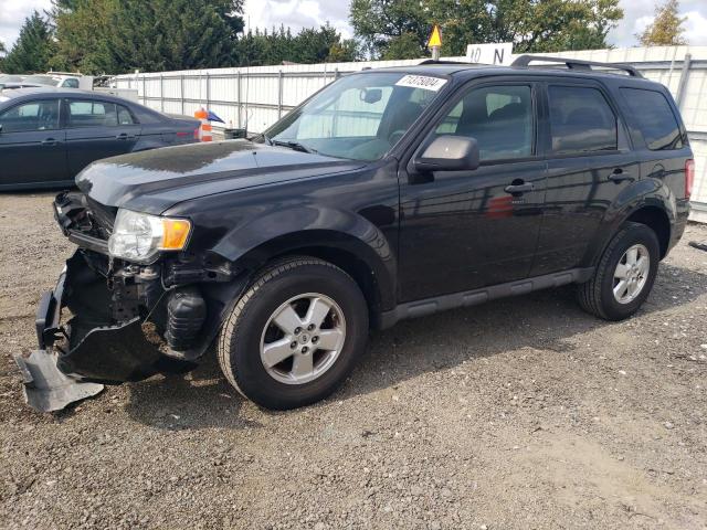 1FMCU0D73BKB01075 - 2011 FORD ESCAPE XLT BLACK photo 1