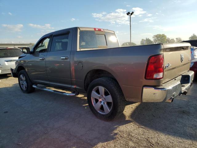 1D3HV13T39J510664 - 2009 DODGE RAM 1500 BROWN photo 2