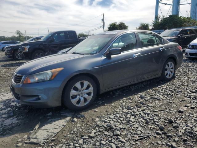 2010 HONDA ACCORD EXL, 