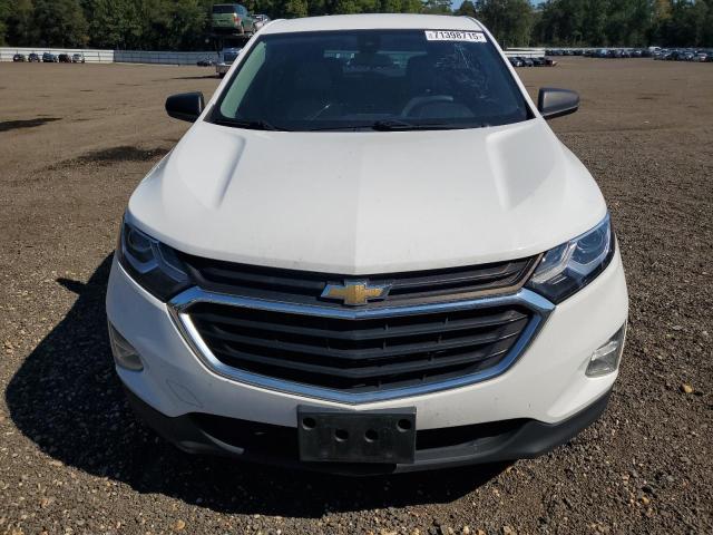 2GNAXHEV1L6283451 - 2020 CHEVROLET EQUINOX LS 白色 照片 5