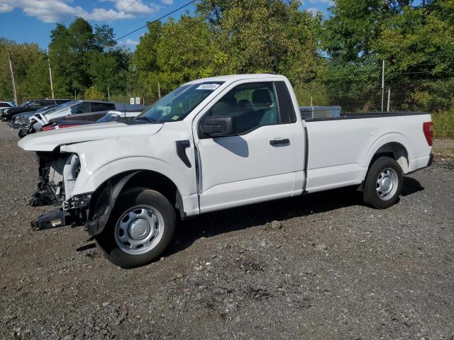 2023 FORD F150, 
