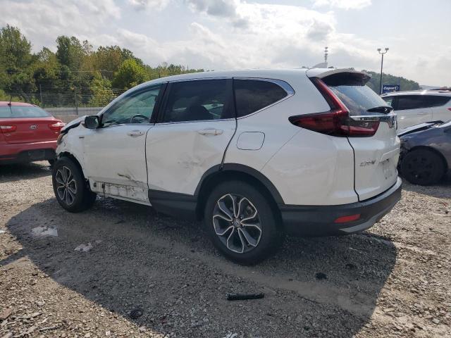 7FART6H8XME029111 - 2021 HONDA CR-V EXL WHITE photo 2