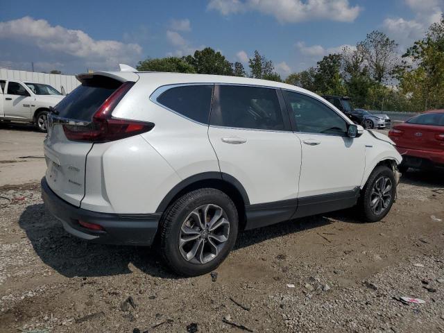 7FART6H8XME029111 - 2021 HONDA CR-V EXL WHITE photo 3
