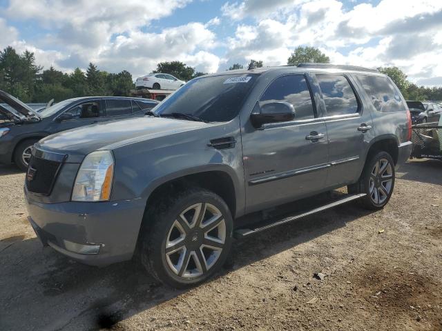 2007 CADILLAC ESCALADE LUXURY, 
