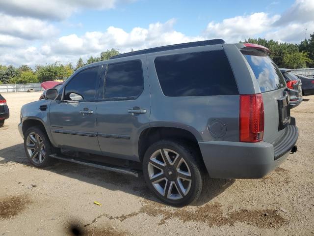 1GYFK63817R421122 - 2007 CADILLAC ESCALADE LUXURY Сірий фото 2