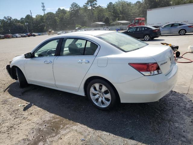 5KBCP3F75AB009781 - 2010 HONDA ACCORD EX Ağ foto 2