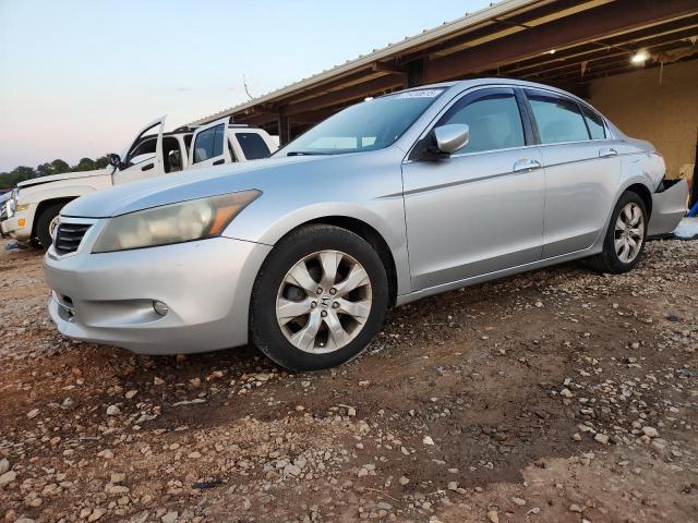 2010 HONDA ACCORD EXL, 