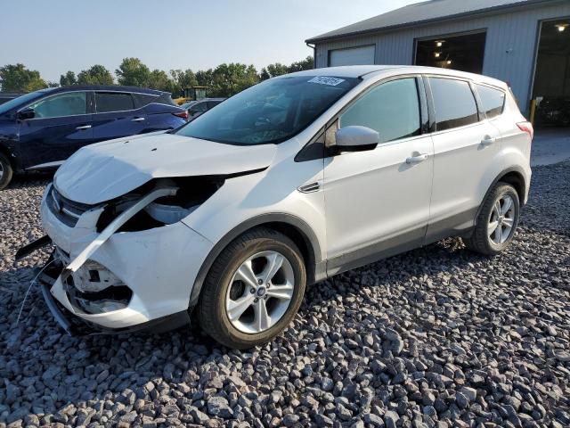2014 FORD ESCAPE SE, 