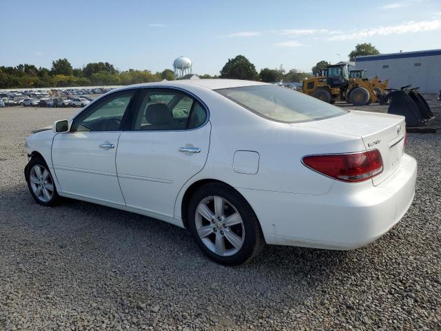 JTHBA30G355142257 - 2005 LEXUS ES 330 WHITE photo 2