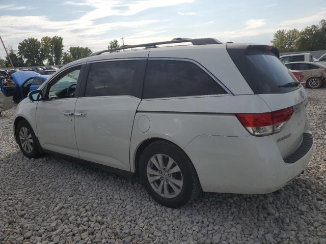 5FNRL5H6XEB108929 - 2014 HONDA ODYSSEY EXL WHITE photo 2
