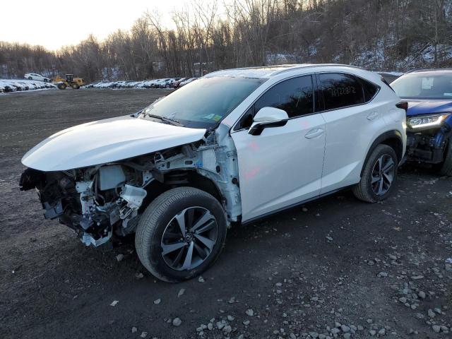 JTJBARBZ3K2189298 - 2019 LEXUS NX 300 BASE თეთრი ფოტო 1