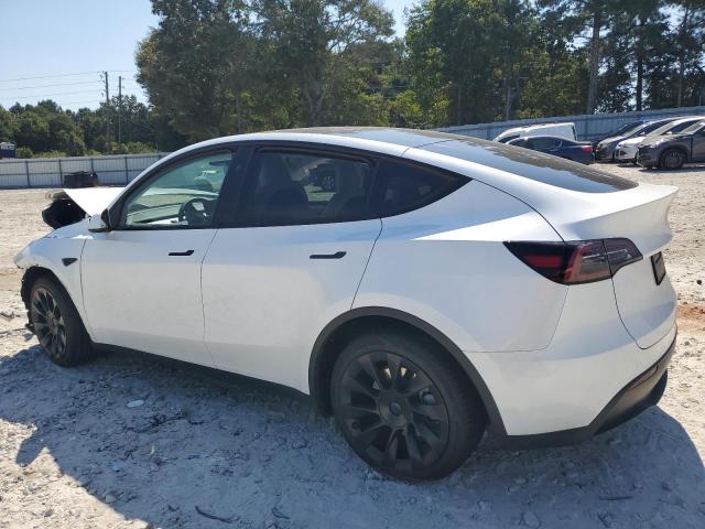 7SAYGDEE6PA197908 - 2023 TESLA MODEL Y Ağ foto 2