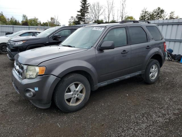 2011 FORD ESCAPE XLT, 