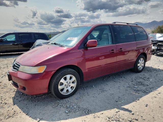 2004 HONDA ODYSSEY EX, 