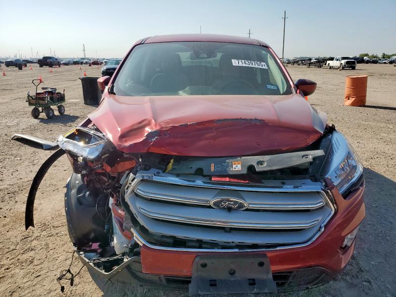 1FMCU0GD6KUB59445 - 2019 FORD ESCAPE SE წითელი ფოტო 5