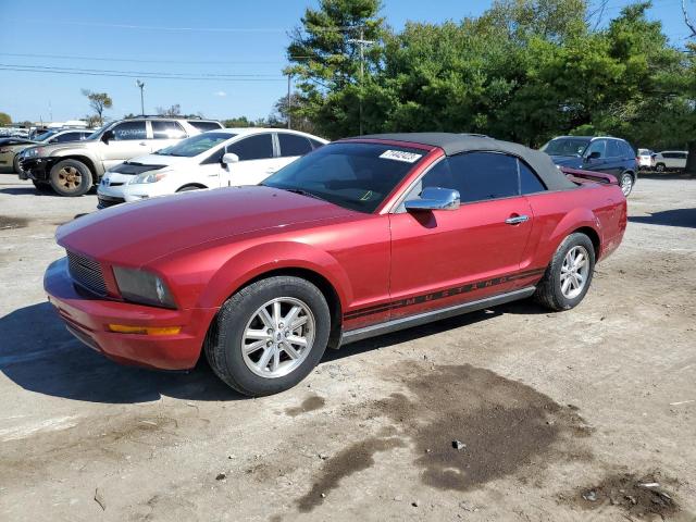1ZVFT84N865109434 - 2006 FORD MUSTANG RED photo 1