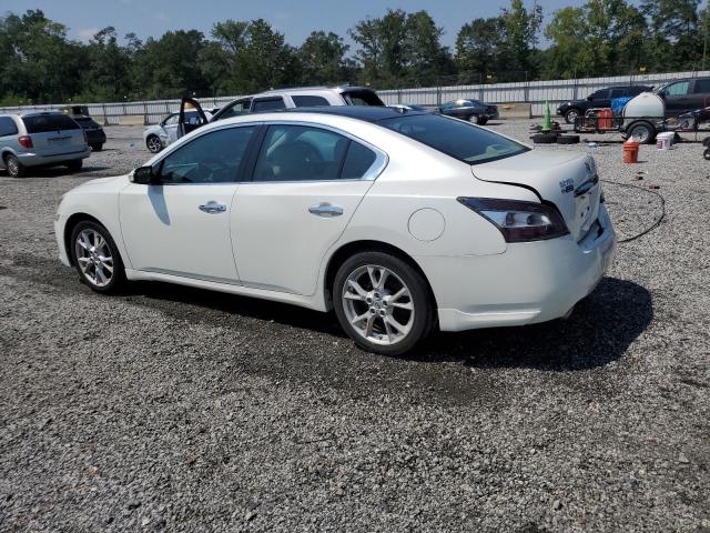 1N4AA5AP9EC472543 - 2014 NISSAN MAXIMA S თეთრი ფოტო 2