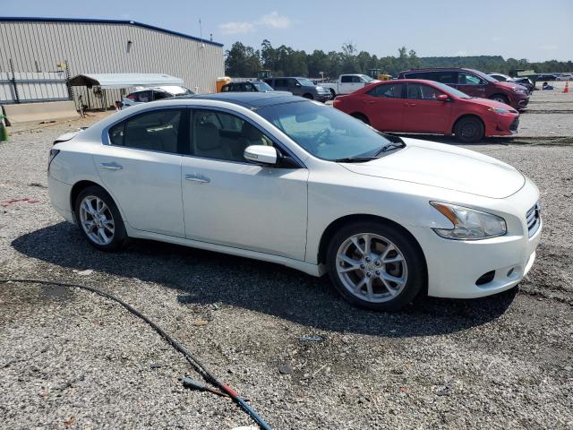 1N4AA5AP9EC472543 - 2014 NISSAN MAXIMA S თეთრი ფოტო 4