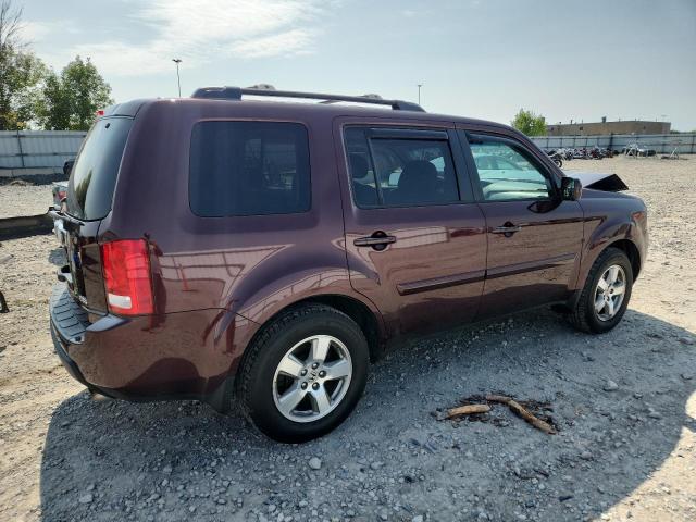 5FNYF4H52BB056650 - 2011 HONDA PILOT EXL MAROON photo 3