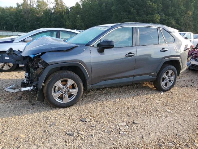 2023 TOYOTA RAV4 LE, 