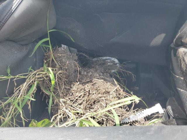 3C7WRNEL0MG662343 - 2021 RAM 5500 Սպիտակ լուսանկար 11