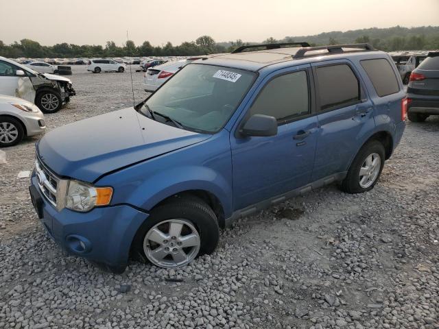 2010 FORD ESCAPE XLT, 
