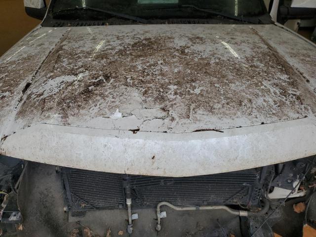 5LMJJ3H54AEJ09710 - 2010 LINCOLN NAVIGATOR L WHITE photo 12