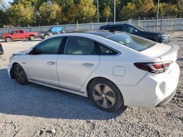 KMHE34L14GA017554 - 2016 HYUNDAI SONATA HYBRID WHITE photo 2