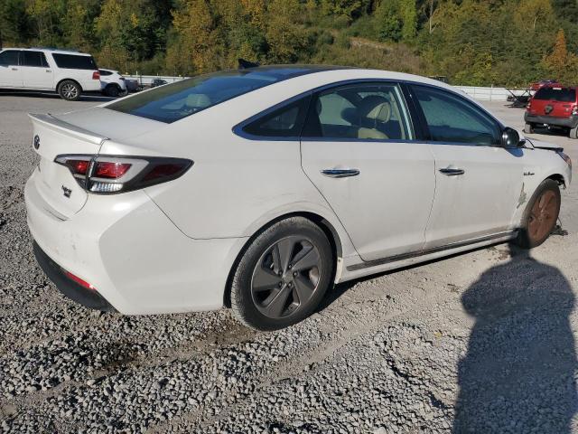 KMHE34L14GA017554 - 2016 HYUNDAI SONATA HYBRID WHITE photo 3