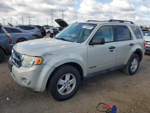 2008 FORD ESCAPE XLT, 