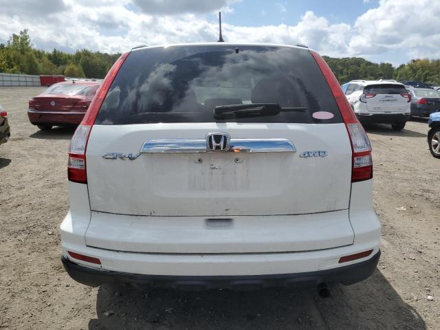 JHLRE4H59AC014496 - 2010 HONDA CR-V EX WHITE photo 6