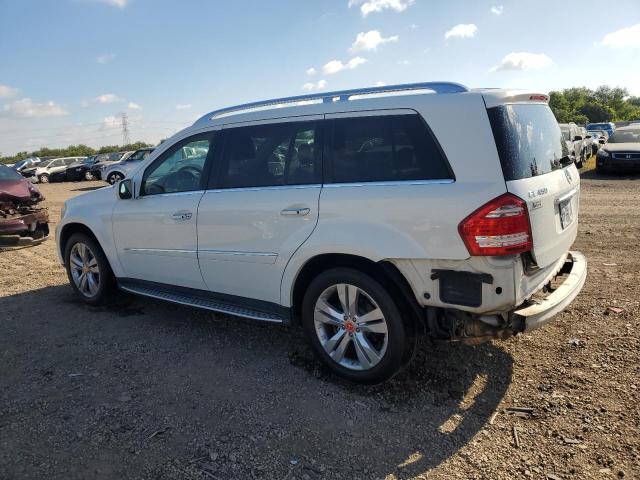 4JGBF7BE3AA610295 - 2010 MERCEDES-BENZ GL 450 4MATIC WHITE photo 2