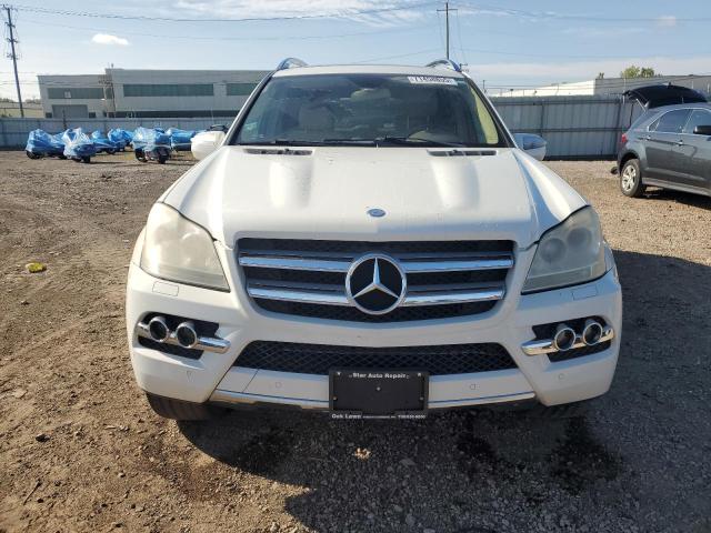 4JGBF7BE3AA610295 - 2010 MERCEDES-BENZ GL 450 4MATIC WHITE photo 5
