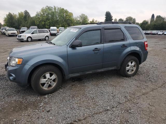 2011 FORD ESCAPE XLT, 