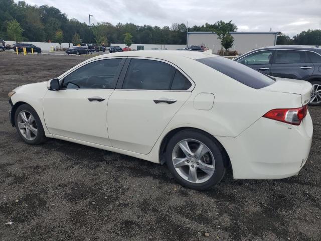 JH4CU2F65BC014176 - 2011 ACURA TSX 白色 照片 2