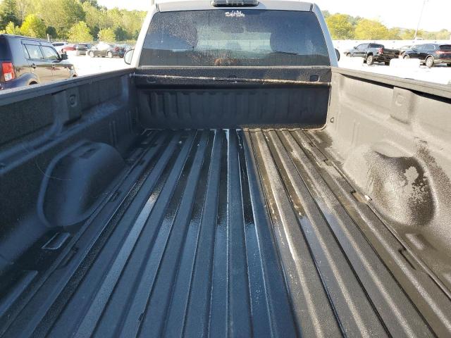 1GCNCPEX7DZ170711 - 2013 CHEVROLET SILVERADO C1500 GRAY photo 10