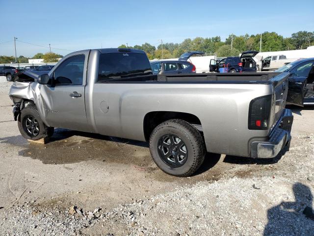 1GCNCPEX7DZ170711 - 2013 CHEVROLET SILVERADO C1500 GRAY photo 2