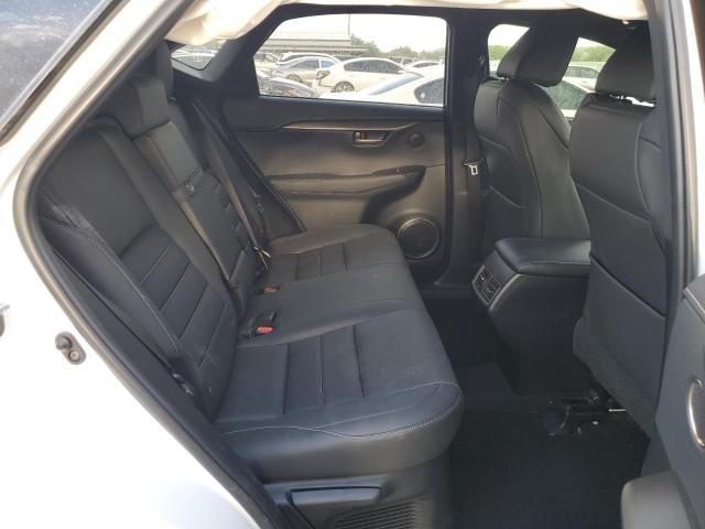 JTJSARBZ1M2197189 - 2021 LEXUS NX 300 BASE 白色 照片 11