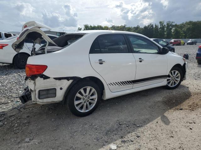 1NXBU4EE3AZ287820 - 2010 TOYOTA COROLLA BASE 白色 照片 3