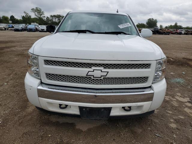 1GCEC19C17Z501534 - 2007 CHEVROLET SILVERADO C1500 白色 照片 5