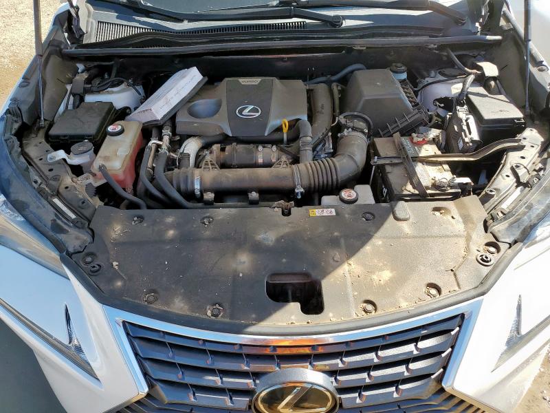 JTJDARBZ7M5029404 - 2021 LEXUS NX 300 BASE თეთრი ფოტო 12