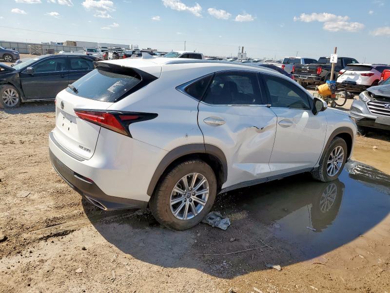 JTJDARBZ7M5029404 - 2021 LEXUS NX 300 BASE თეთრი ფოტო 3