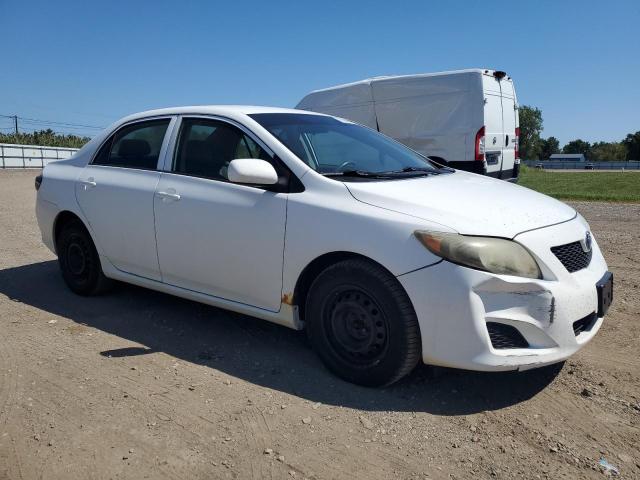 1NXBU4EE2AZ204507 - 2010 TOYOTA COROLLA BASE თეთრი ფოტო 4